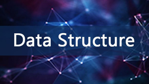 Data Structure Programming