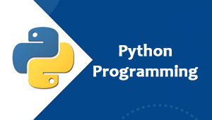 Python Programming