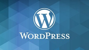 WordPress Training Course